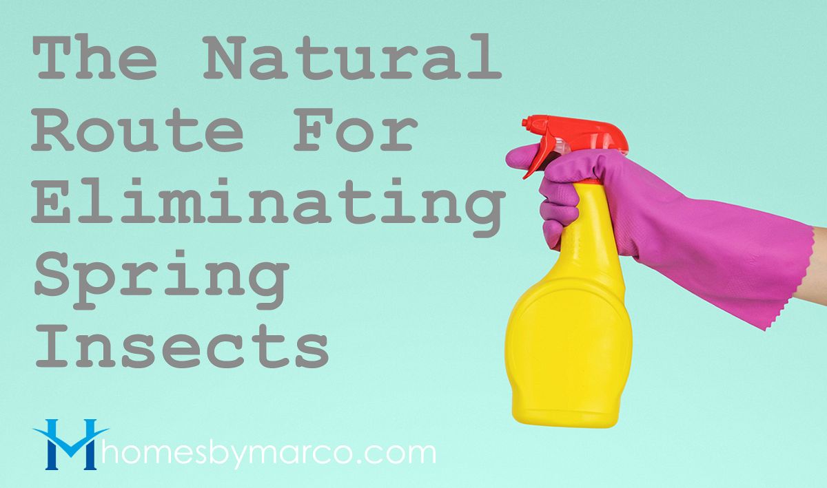 The Natural Route For Eliminating Spring Insects