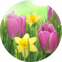Spring is coming