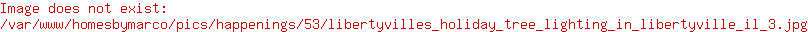 Libertyville's Holiday Tree Lighting Homes by Marco